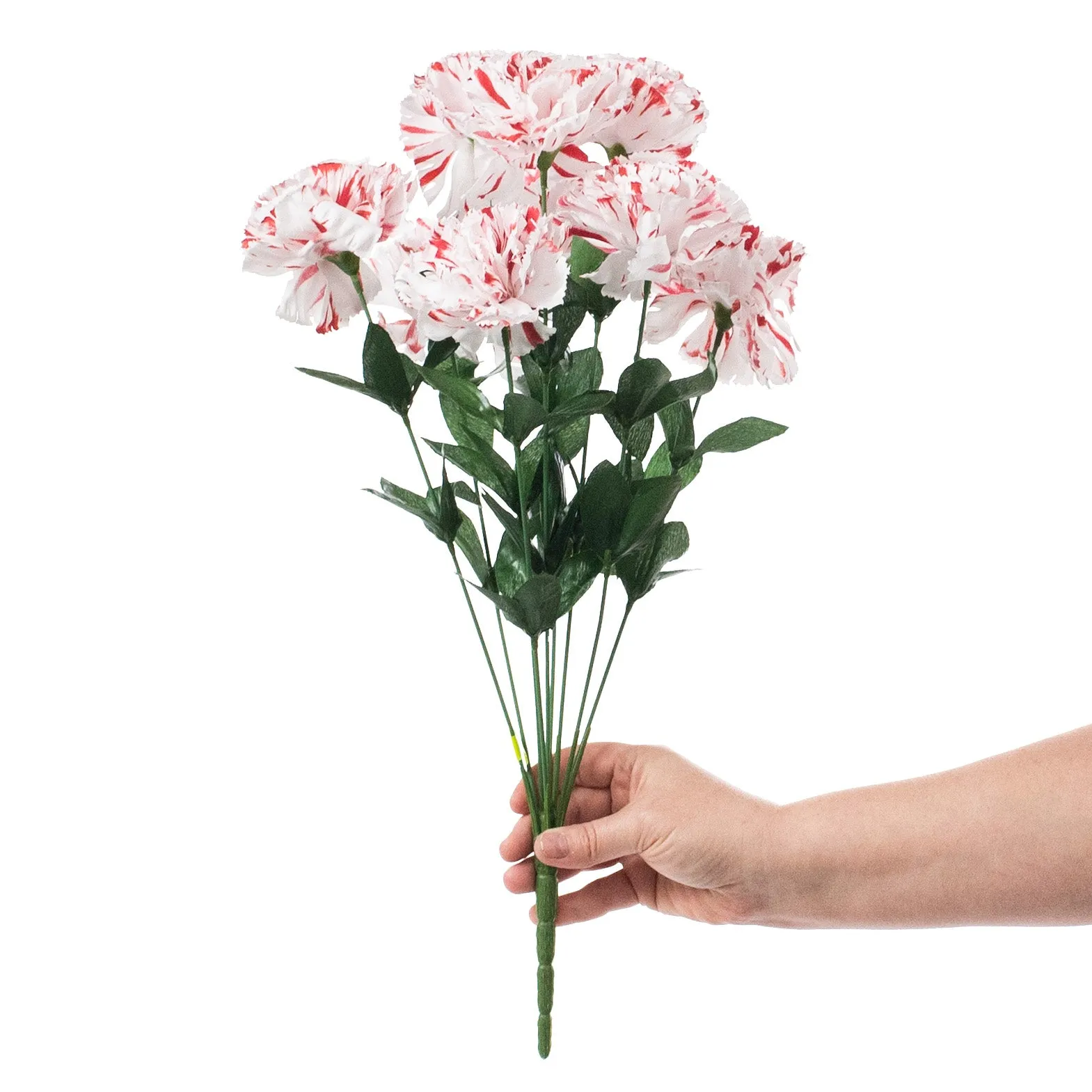 20" Colorfast Carnation Bush: Peppermint