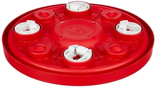 Amazon Brand - Solimo LPG Gas Cylinder Trolley (Red)