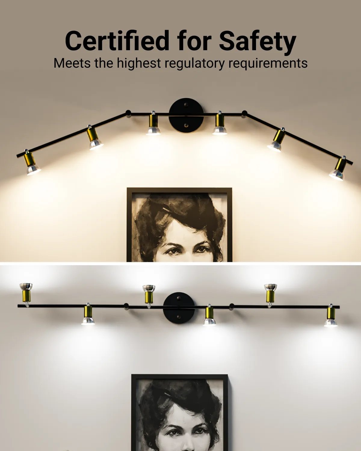 Black Ceiling Track Fixture, 4ft Adjustable, Gold & Silver 6-Light Head