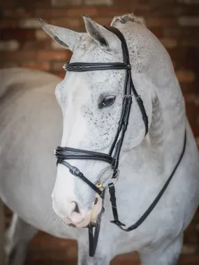 LeMieux Competition Flash Bridle