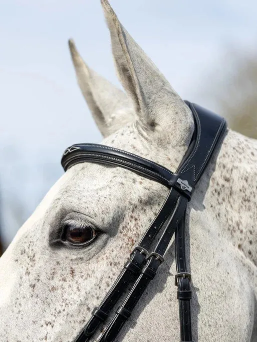 LeMieux Kudos Competition Flash Bridle