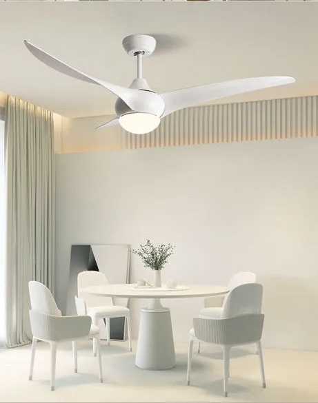 Lux Flow Mute Hanging Fan With Light