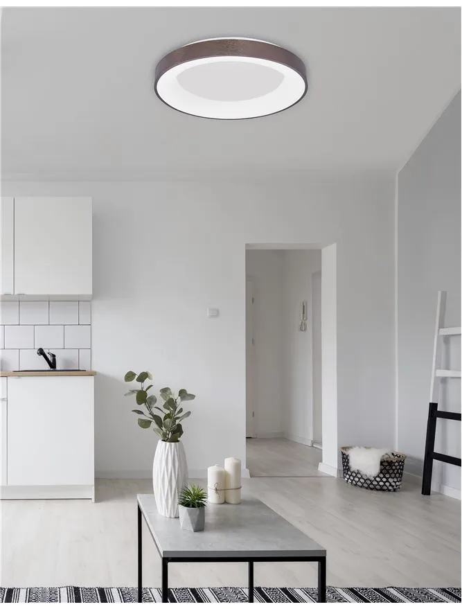 RAN Brushed Coffee Aluminium & Acrylic Dimmable Warm Light Ring Flush Large - ID 10619