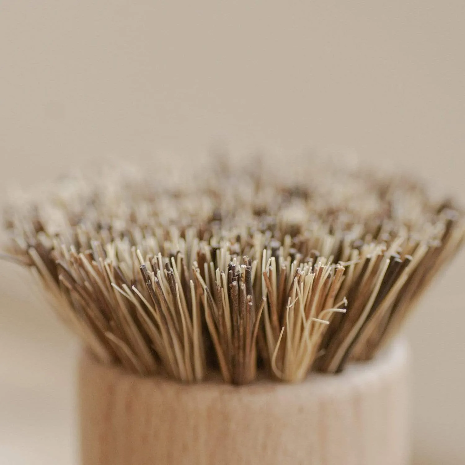 Zero Waste Store: Pot Scrubber