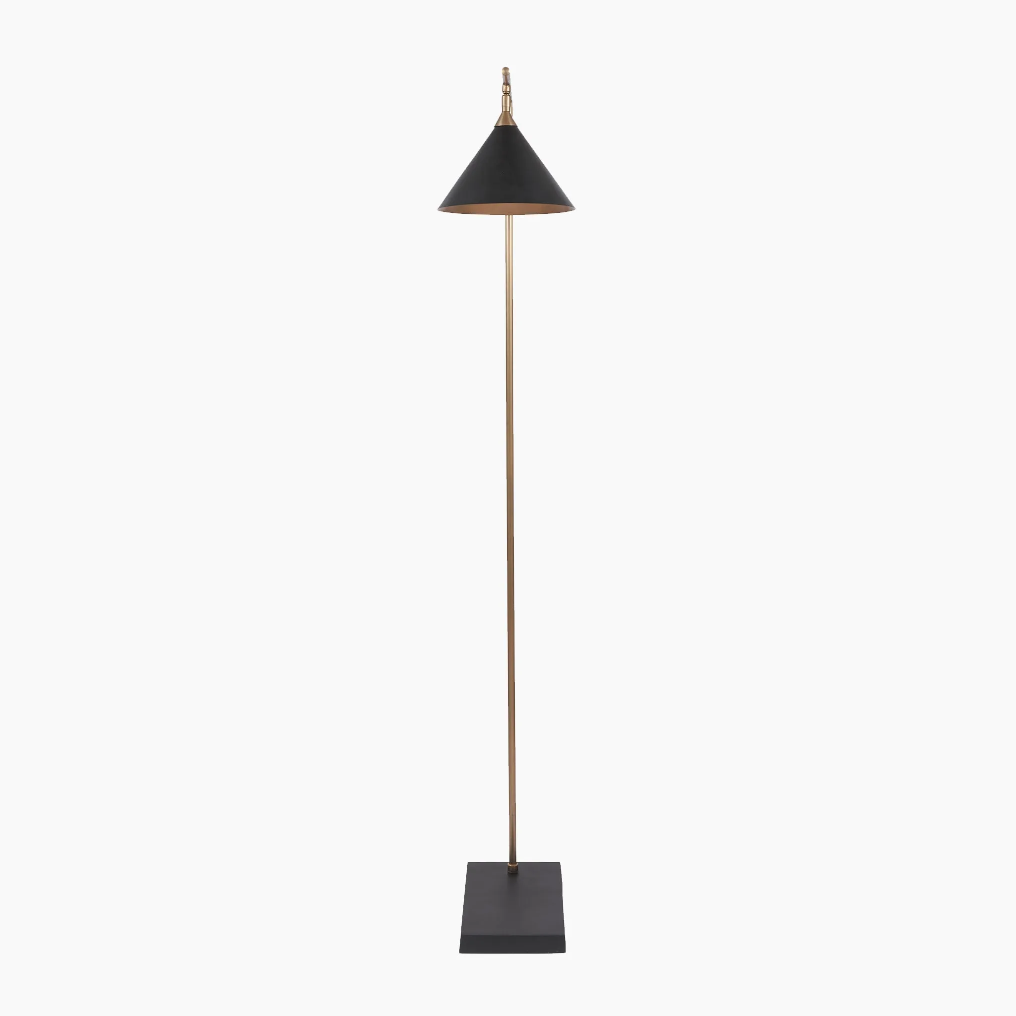 Zeta Matt Black and Antique Brass Floor Lamp